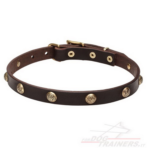 Collare marrone con borchie a fiore in ottone per cane