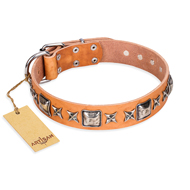 Collare colore naturale "Silver Chic" FDT Artisan per cane Collare colore naturale "Silver Chic" FDT Artisan per cane