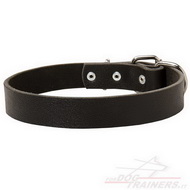 Collare classico in pelle, larghezza 30 mm Collare classico in pelle, larghezza 30 mm