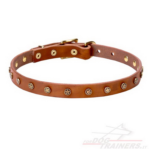 Collare marrone chiaro con borchie a stellina in ottone per cane