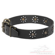 Collare con borchie decorative per cane Collare con borchie decorative per cane