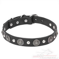 Collare con borchie cromate per cane grande Collare con borchie cromate per cane grande