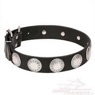 Collare "Maya Indians" con borchie cromate per cane Collare "Maya Indians" con borchie cromate per cane