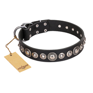 Collare nero "Strict Elegance" FDT Artisan per cane Collare nero "Strict Elegance" FDT Artisan per cane