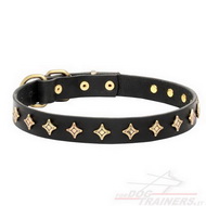 Collare con borchie a stellina di ottone per cane Collare con borchie a stellina di ottone per cane