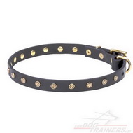 Collare stretto con piastre di ottone a stellina per cane