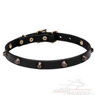 Collare con borchie a piramide di ottone per cane Collare con borchie a piramide di ottone per cane