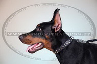Collare in cuoio con borchie a piramidi per Dobermann Collare in cuoio con borchie a piramidi per Dobermann