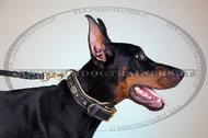 Collare originale in cuoio per Dobermann Collare originale in cuoio per Dobermann