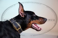 Collare in cuoio per Dobermann Collare in cuoio per Dobermann