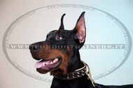 Collare in cuoio con borchie a punta per Dobermann Collare in cuoio con borchie a punta per Dobermann