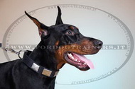 Collare in cuoio con piastre decorative per Dobermann Collare in cuoio con piastre decorative per Dobermann