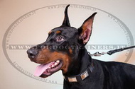 Collare in pelle con piastre in rilievo per Dobermann Collare in pelle con piastre in rilievo per Dobermann