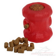 Grande giocattolo mangiatoia "Dental & Chew Toy" per cane Grande giocattolo mangiatoia "Dental & Chew Toy" per cane