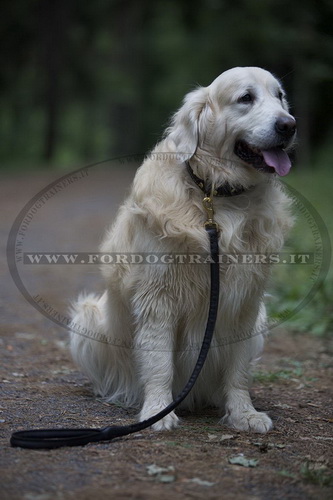 Guinzaglio robusto di cuoio per Golden Retriever