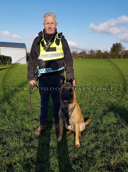 Confortevole in vera pelle per Malinois