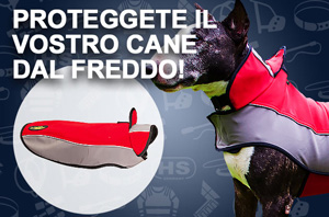 Cappottino per cane