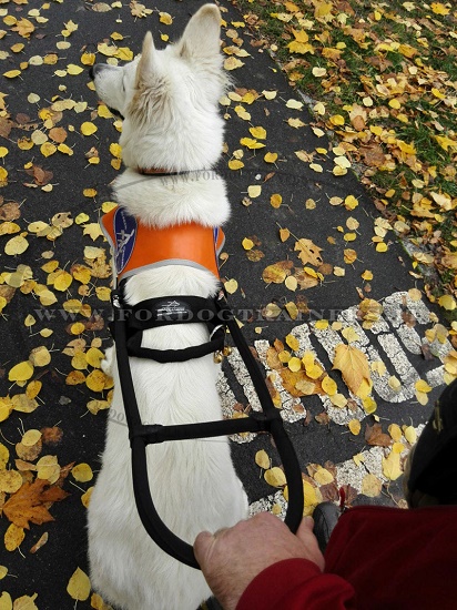 Pettorina in nylon cane guida per non vedenti