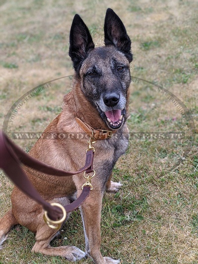 Resistente guinzaglio in pelle per uscite quotidiane con cane