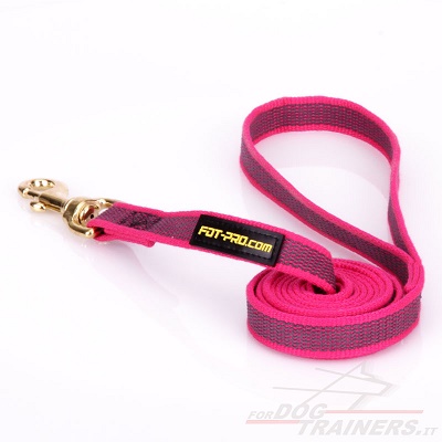 Guinzaglio in nylon per uscite con cane