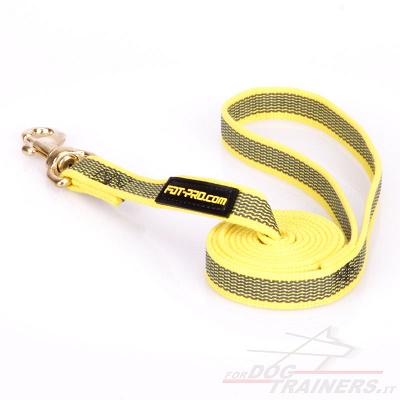 Guinzaglio giallo in nylon gommato per uscite con cane