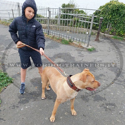 Guinzaglio in pelle vera per passeggiate con cane