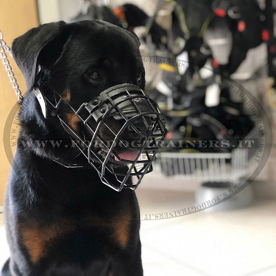 Resistente museruola gommata per Rottweiler