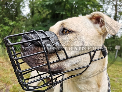 Resistente museruola gommata per cane