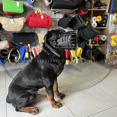 Museruola speciale per cani di divisioni cinofile militari