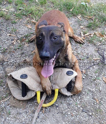 Morbida manica protettiva in juta per cane giovane