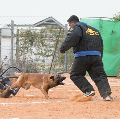 Tuta protettiva per gare sportive