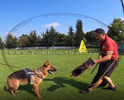 Manica in juta per addestramento del cane