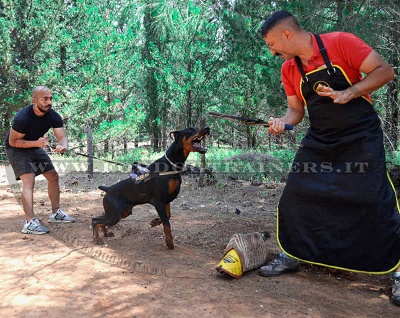 Grembiule per addestramento del cane