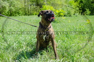 Pettorina rinforzata dal cuoio doppio per Boxer Pettorina rinforzata dal cuoio doppio per Boxer