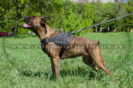 Pettorina multi-funzionale di nylon per Boxer Pettorina multi-funzionale di nylon per Boxer