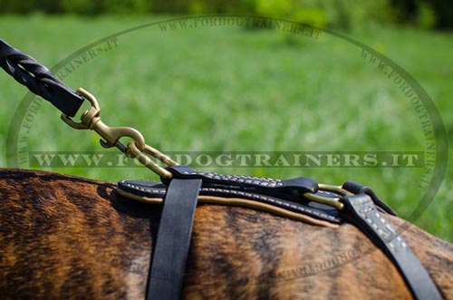 Pettorina di alta qualità per Boxer