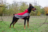 Cappottino per Dobermann Cappottino per Dobermann
