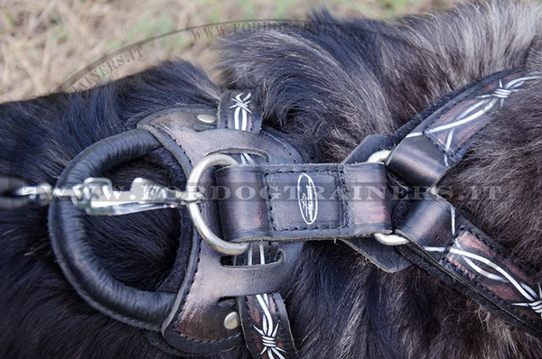 Pettorina di alta qualità per Cane da pastore del Caucaso