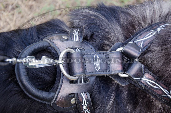 Pettorina di alta qualità per Cane da pastore del Caucaso