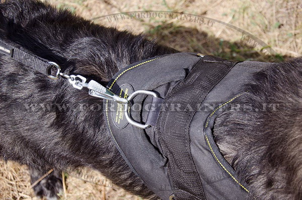 Pettorina di alta qualità per Cane da pastore del Caucaso