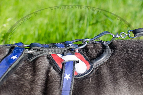 Pettorina dipinta a mano con maniglia per Mastino Napoletano