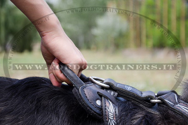 Pettorina con maniglia per Cane da pastore del Caucaso