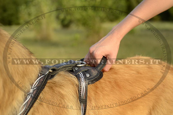 Pettorina con maniglia per Tervueren