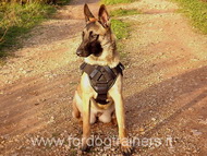 Pettorina multi-funzionale di nylon per Malinois Pettorina multi-funzionale di nylon per Malinois