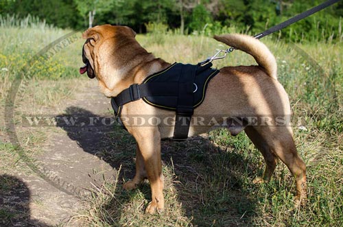 Pettorina per cani di taglia media come Shar Pei