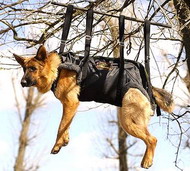 Pettorina in nylon per cane per operazioni di salvataggio Pettorina in nylon per cane per operazioni di salvataggio