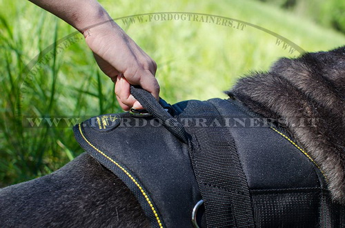 Pettorina di alta qualità per Mastino Napoletano