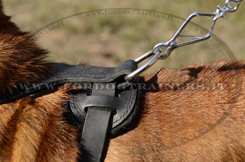 Pettorina di alta qualità per Shar Pei