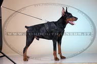 Pettorina multi-funzionale di nylon per Dobermann Pettorina multi-funzionale di nylon per Dobermann