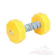 Riportello giallo in legno con copertura e dischi doppi, 1 kg Riportello giallo in legno con copertura e dischi doppi, 1 kg